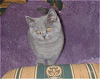 das neue Familienmitglied, Celinah mit 1800 g