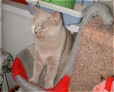 Xsweety ist in bester Erwartung