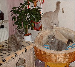 alles bereit