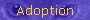 Adoption