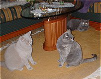 Mama und Tanten
