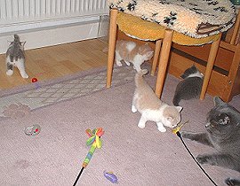 bin doch blos die Tante...