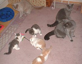 in Familie