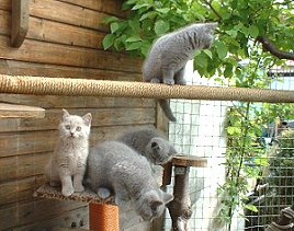 ab in den Garten