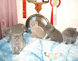 Hallo, wir sind's!