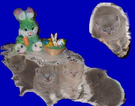 Frohe Ostern!