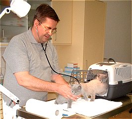 Dr. Witter